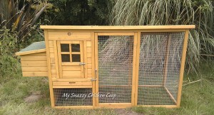 Reasons To Elevate Your Chicken Coop